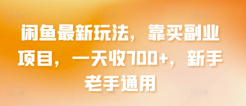 闲鱼最新玩法，靠买副业项目，一天收700+，新手老手通用【揭秘】-摸金项目网