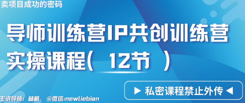 导师训练营3.0IP共创训练营私密实操课程（12节）-卖项目的密码成功秘诀【揭秘】-摸金项目网