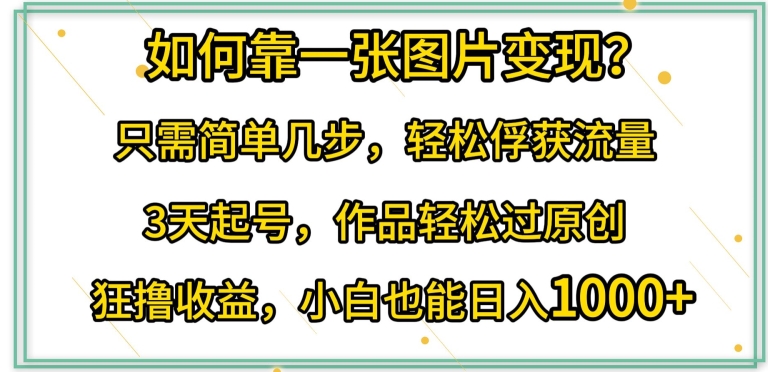 如何靠一张图片变现?只需简单几步，轻松俘获流量，3天起号，作品轻松过原创【揭秘】-摸金项目网