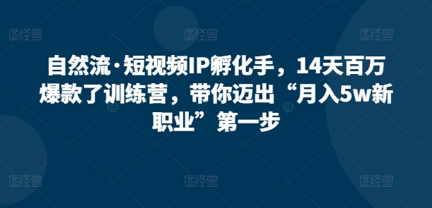 自然流·短视频IP孵化手，14天百万爆款了训练营，带你迈出“月入5w新职业”第一步-摸金项目网