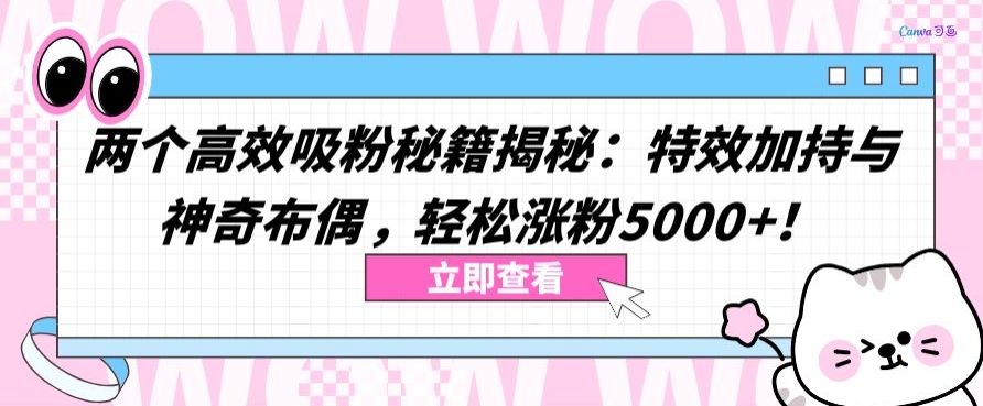两个高效吸粉秘籍揭秘：特效加持与神奇布偶，轻松涨粉5000+【揭秘】-摸金项目网