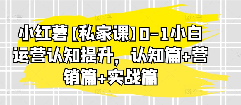 小红薯【私家课】0-1小白运营认知提升，认知篇+营销篇+实战篇-摸金项目网
