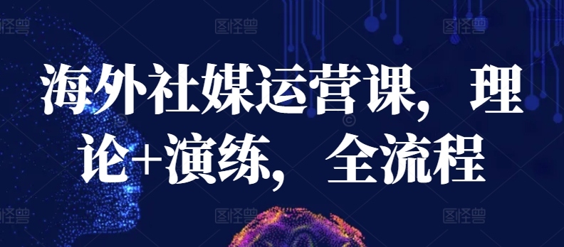 海外社媒运营课，理论+演练，全流程-摸金项目网