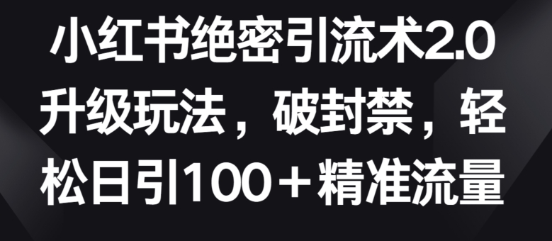 小红书绝密引流术2.0升级玩法，破封禁，轻松日引100+精准流量【揭秘】-摸金项目网