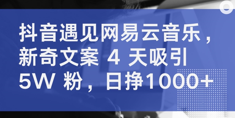 抖音遇见网易云音乐，新奇文案 4 天吸引 5W 粉，日挣1000+【揭秘】-摸金项目网