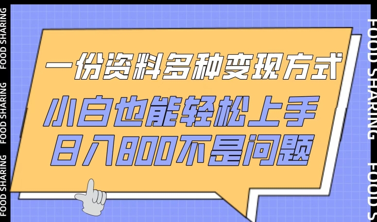 一份资料多种变现方式，小白也能轻松上手，日入800不是问题【揭秘】-摸金项目网