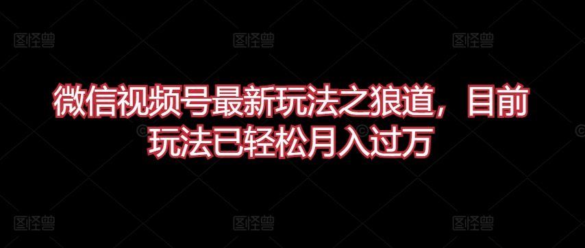 微信视频号最新玩法之狼道，目前玩法已轻松月入过万【揭秘】-摸金项目网