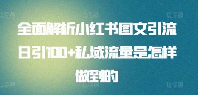 全面解析小红书图文引流日引100+私域流量是怎样做到的【揭秘】-摸金项目网