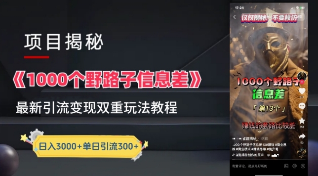 一千个野路子信息差最新玩法教程-变现+引流的玩法具体拆解【揭秘】-摸金项目网