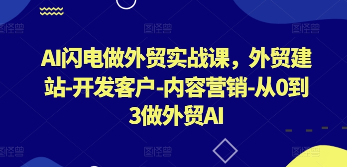 AI闪电做外贸实战课，​外贸建站-开发客户-内容营销-从0到3做外贸AI-摸金项目网