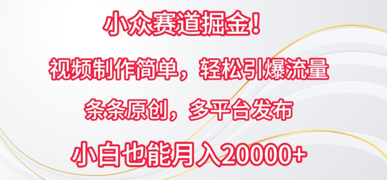 小众赛道掘金，视频制作简单，轻松引爆流量，条条原创，多平台发布【揭秘】-摸金项目网