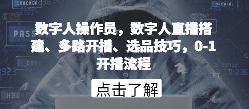 数字人操作员，数字人直播搭建、多路开播、选品技巧，0-1开播流程-摸金项目网