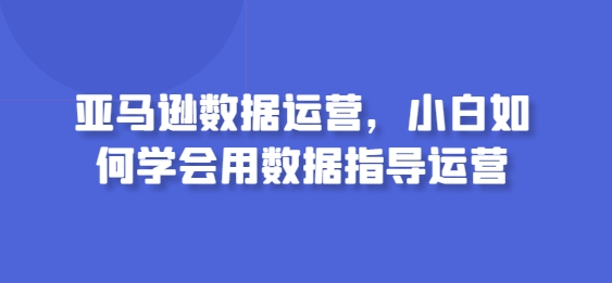 亚马逊数据运营，小白如何学会用数据指导运营-摸金项目网