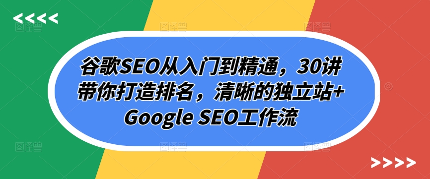 谷歌SEO从入门到精通，30讲带你打造排名，清晰的独立站+Google SEO工作流-摸金项目网