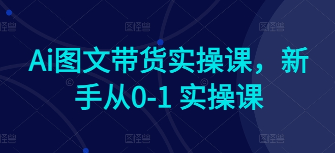 Ai图文带货实操课，新手从0-1 实操课-摸金项目网