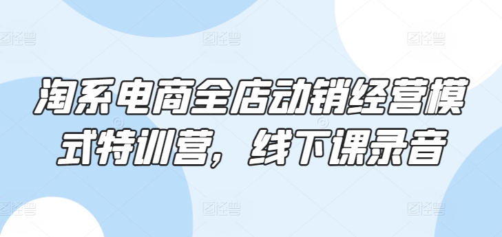 淘系电商全店动销经营模式特训营，线下课录音-摸金项目网