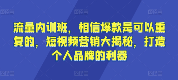流量内训班，相信爆款是可以重复的，短视频营销大揭秘，打造个人品牌的利器-摸金项目网