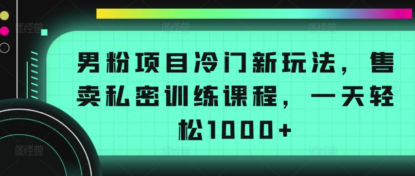 男粉项目冷门新玩法，售卖私密训练课程，一天轻松1000+【揭秘】-摸金项目网