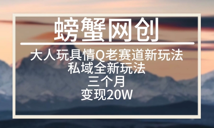 大人玩具情Q用品赛道私域全新玩法，三个月变现20W，老项目新思路【揭秘】-摸金项目网