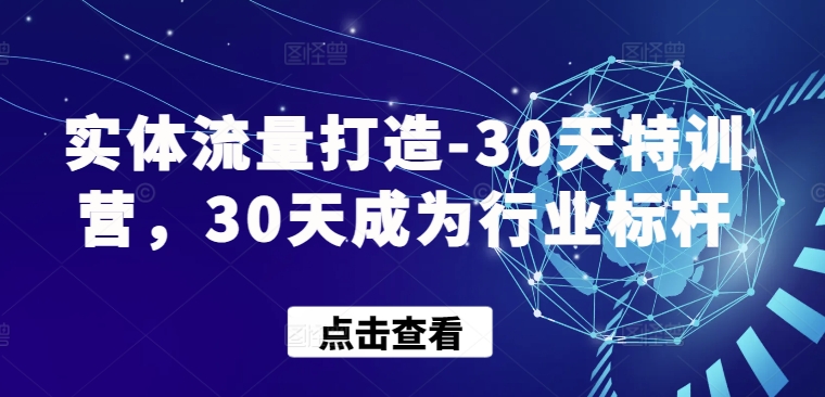 实体流量打造-30天特训营，30天成为行业标杆-摸金项目网