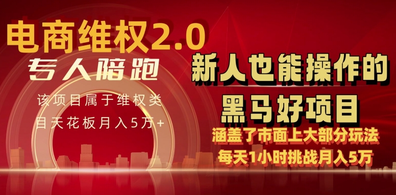 电商维权 4.0 如何做到月入 5 万+每天 1 小时新人也能快速上手【仅揭秘】-摸金项目网