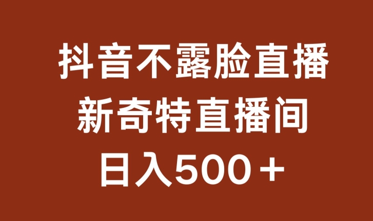 不露脸挂机直播，新奇特直播间，日入500+【揭秘】-摸金项目网
