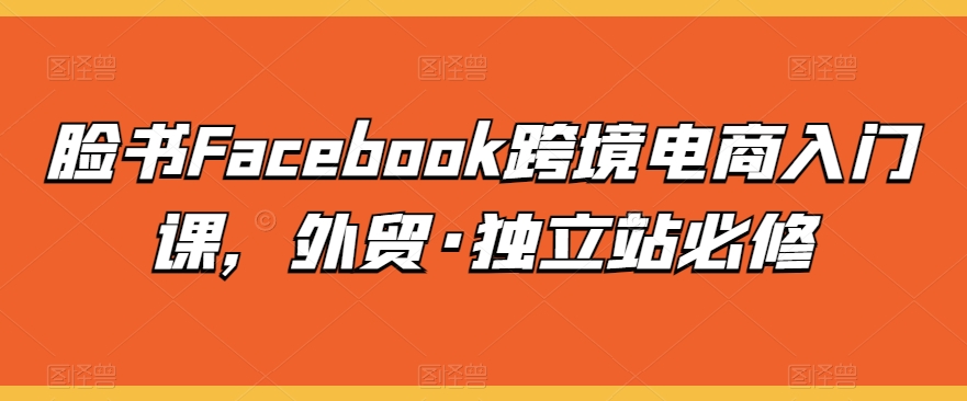 脸书Facebook跨境电商入门课，外贸·独立站必修-摸金项目网
