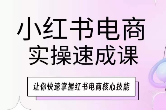 小红书电商实操速成课，让你快速掌握红书电商核心技能-摸金项目网