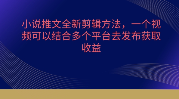 小说推文全新剪辑方法，一个视频可以结合多个平台去发布获取【揭秘】-摸金项目网