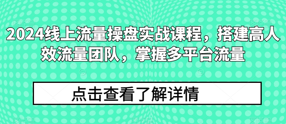 2024线上流量操盘实战课程，搭建高人效流量团队，掌握多平台流量-摸金项目网