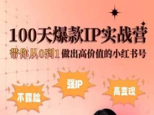 小红书100天爆款IP实战营，带你从0到1做出高价值的小红书号-摸金项目网
