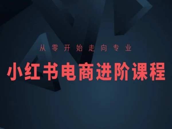 从零开始走向专业，小红书电商进阶课程-摸金项目网
