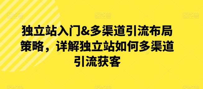 独立站入门&多渠道引流布局策略，详解独立站如何多渠道引流获客-摸金项目网
