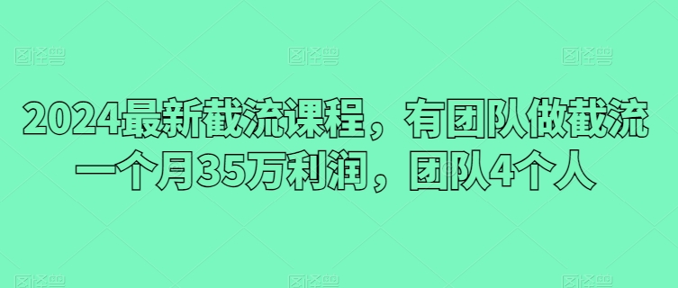 2024最新截流课程，有团队做截流一个月35万利润，团队4个人-摸金项目网