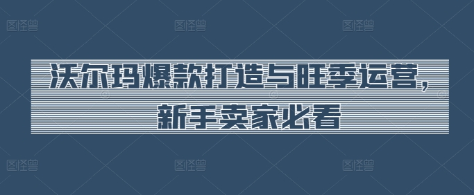 沃尔玛爆款打造与旺季运营，新手卖家必看-摸金项目网