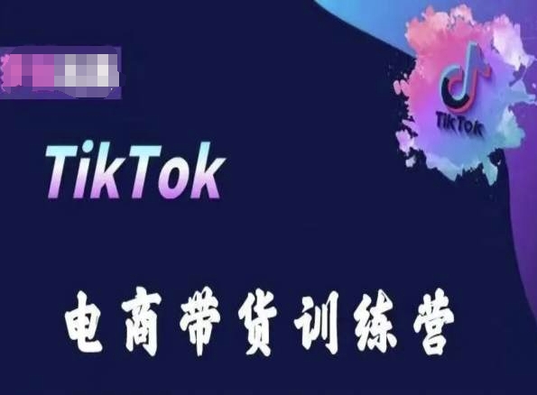 TikTok电商带货训练营，跟随时代潮流，跨境掘金-摸金项目网