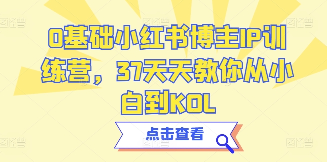 0基础小红书博主IP训练营，37天天教你从小白到KOL-摸金项目网