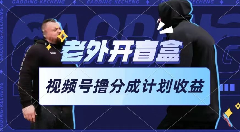 老外开盲盒视频，撸视频号分成计划收益，每天只需一小时，新手小白轻松上手【揭秘】-摸金项目网