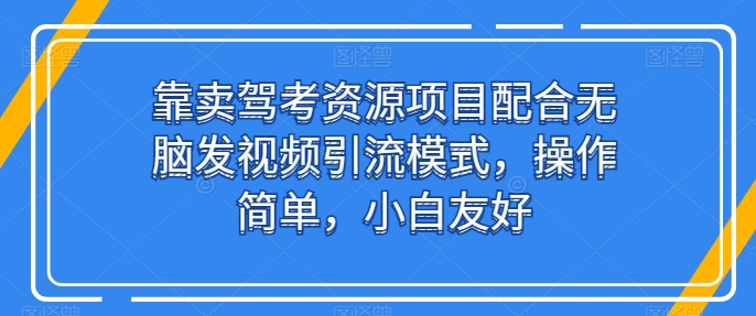 靠卖驾考资源项目配合无脑发视频引流模式，操作简单，小白友好【揭秘】-摸金项目网