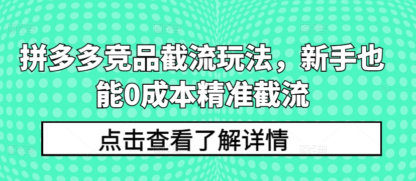 拼多多竞品截流玩法，新手也能0成本精准截流-摸金项目网