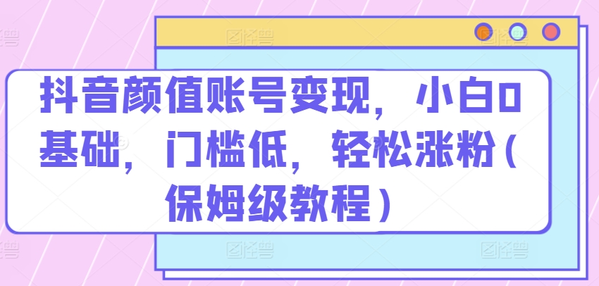 抖音颜值账号变现，小白0基础，门槛低，​轻松涨粉(保姆级教程)【揭秘】-摸金项目网