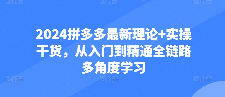 2024拼多多最新理论+实操干货，从入门到精通全链路多角度学习-摸金项目网