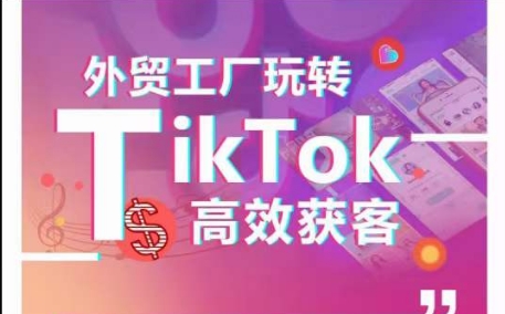 外贸工厂玩转TikTok高效获客，多种引流方式与账号定位技巧，拆解爆款短视频打造成功案例-摸金项目网