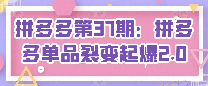 拼多多第37期：拼多多单品裂变起爆2.0-摸金项目网