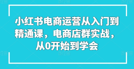 小红书电商运营从入门到精通课，电商店群实战，从0开始到学会-摸金项目网