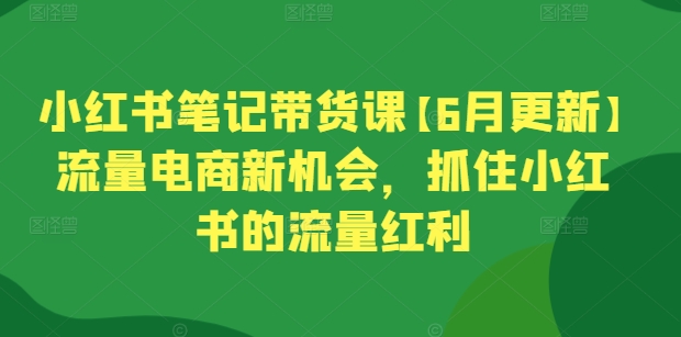 小红书笔记带货课【6月更新】流量电商新机会，抓住小红书的流量红利-摸金项目网