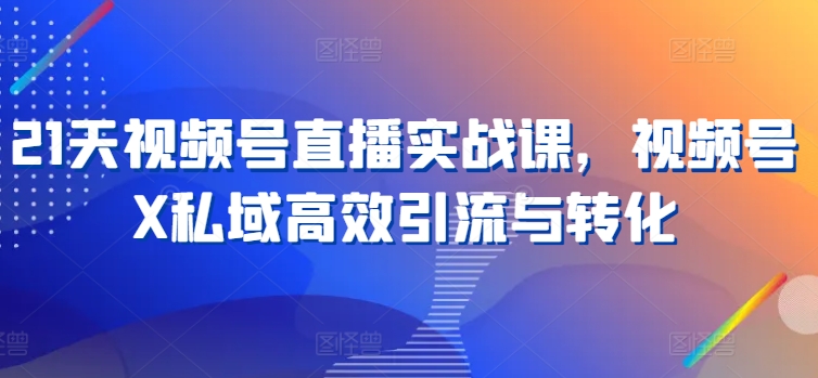21天视频号直播实战课，视频号X私域高效引流与转化-摸金项目网