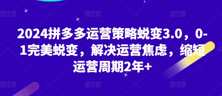 2024拼多多运营策略蜕变3.0，0-1完美蜕变，解决运营焦虑，缩短运营周期2年+-摸金项目网