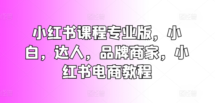 小红书课程专业版，小白，达人，品牌商家，小红书电商教程-摸金项目网