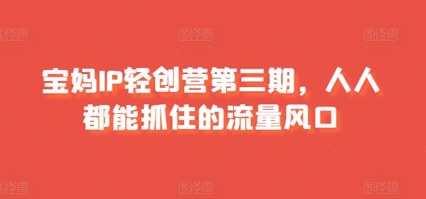 宝妈IP轻创营第三期，人人都能抓住的流量风口-摸金项目网